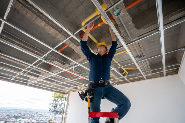 Best Clogged Drain Plumber  in Warren, IN